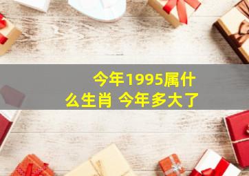 今年1995属什么生肖 今年多大了